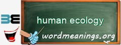 WordMeaning blackboard for human ecology